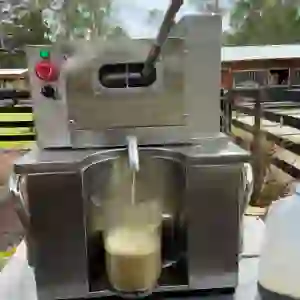 7 - Sugarcane Being Squeezed